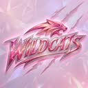 @wildcats002233