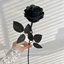 @wn3i_