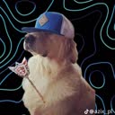 @xen_dj