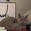 @xin18__