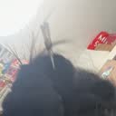 @xioxi_kiki