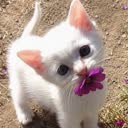 @xxxxxxwxxxxxx8