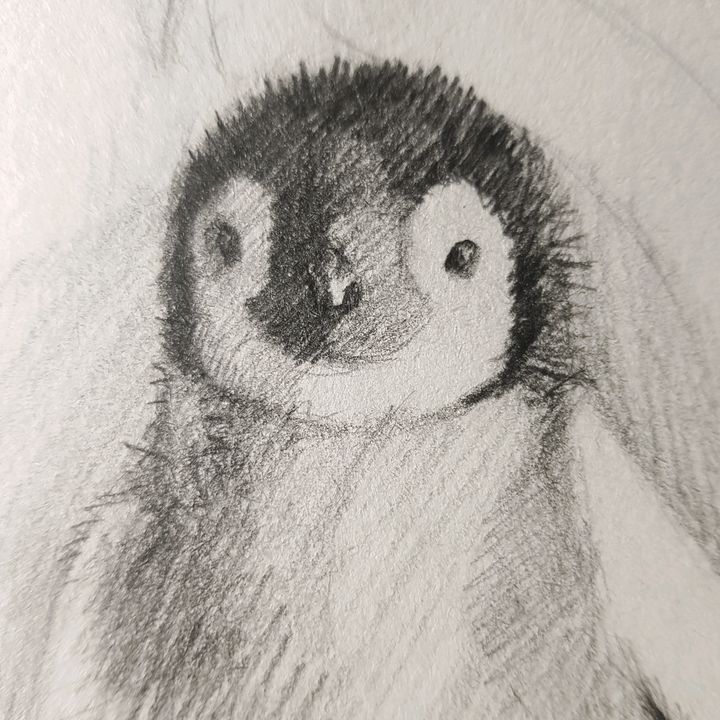 @yamensketches