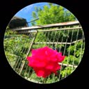 @yasmin12._4
