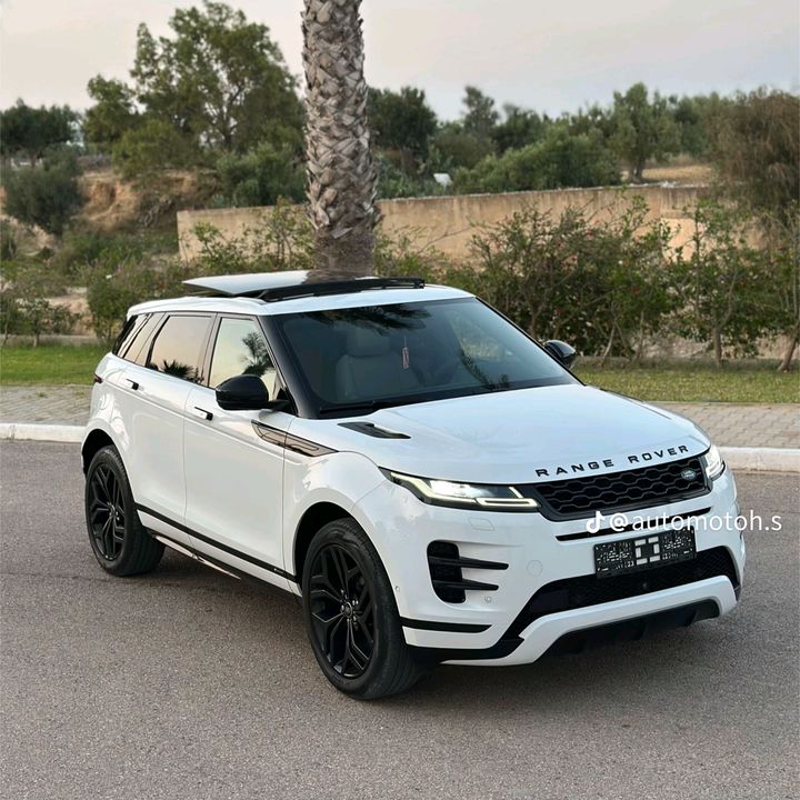 @yousef.youssef365