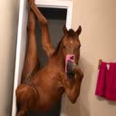 @yprlly