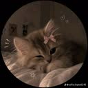 @yusmaris063