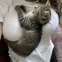 @zineb8mr