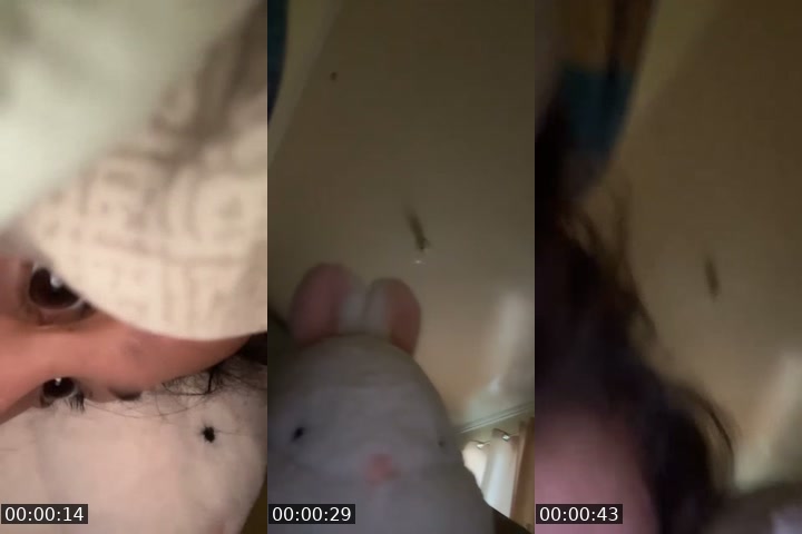 TikTok live: quickcakes by @undreii0