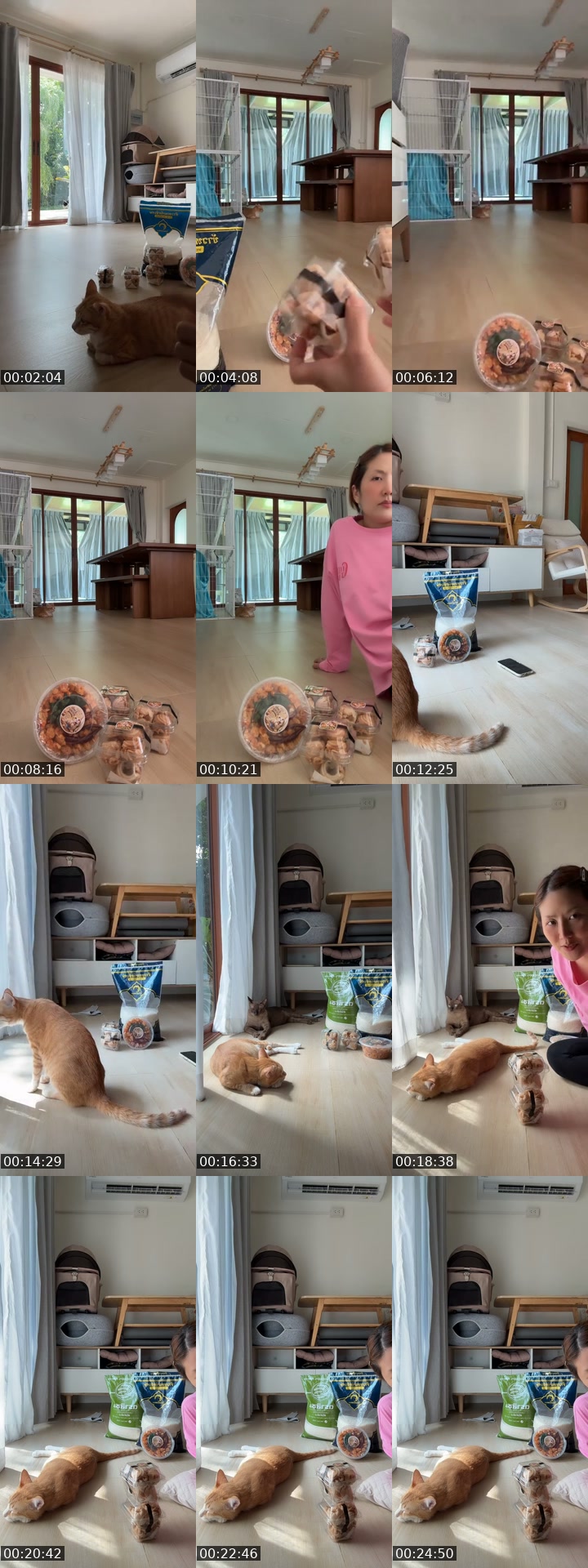 TikTok live: สิ่งที่พวกเรารอคอยมานานแสนนาน by @tuazorfamily