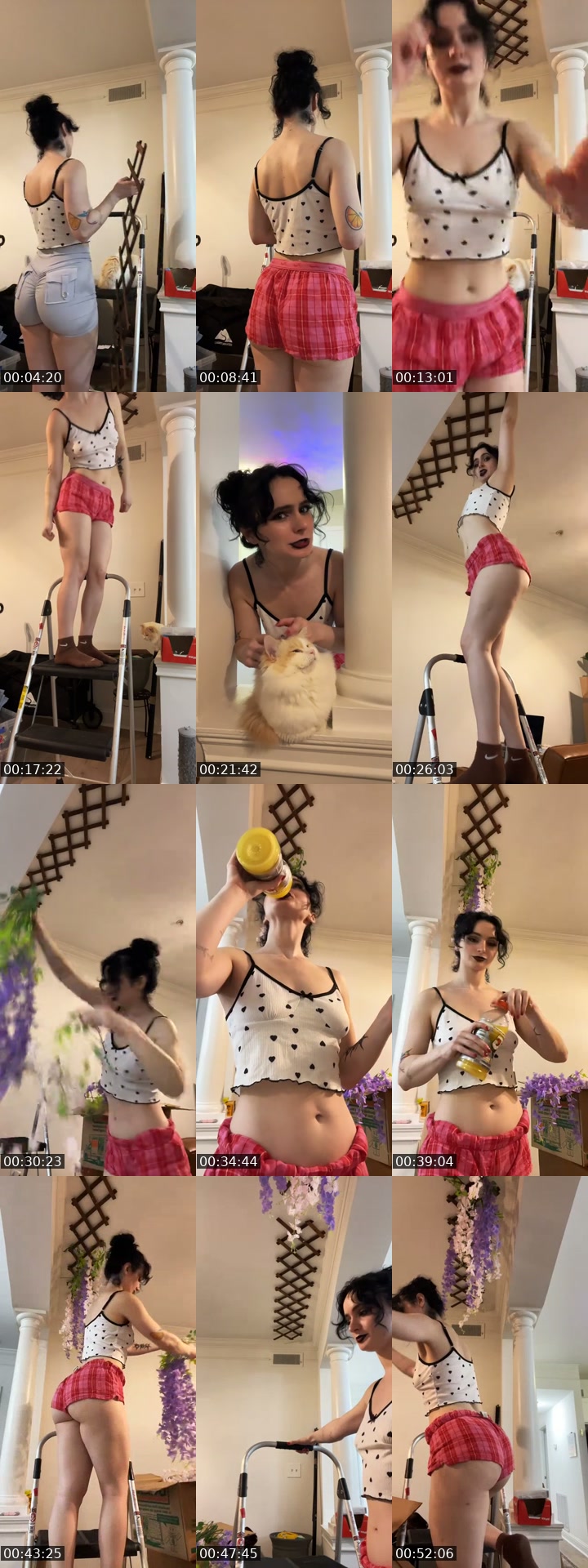 @divine.shitstorm TikTok live from 2026-07-19