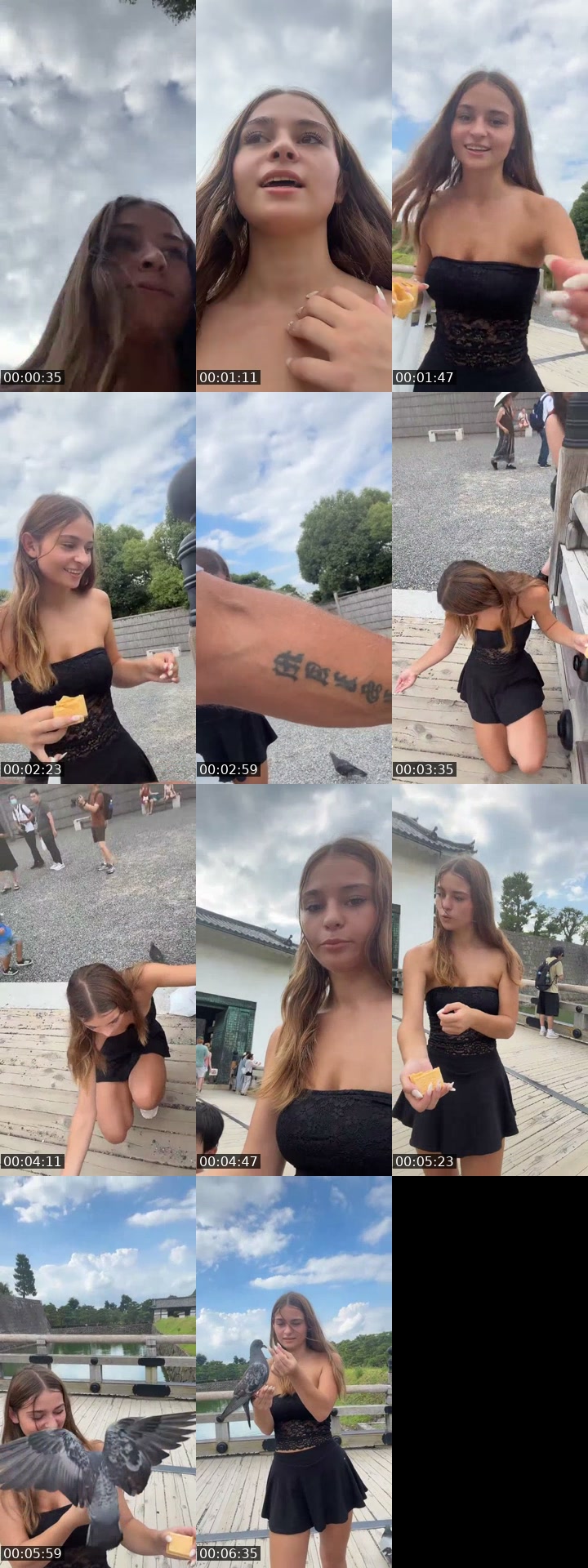 TikTok live: feeding the japanese pigeons by @maisiesel