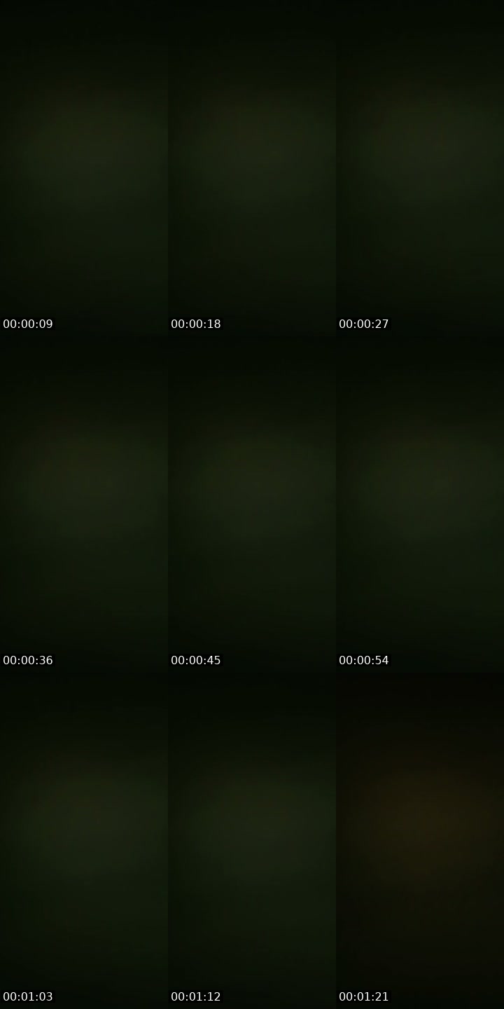 @liliquatar11 TikTok live from 2026-07-19