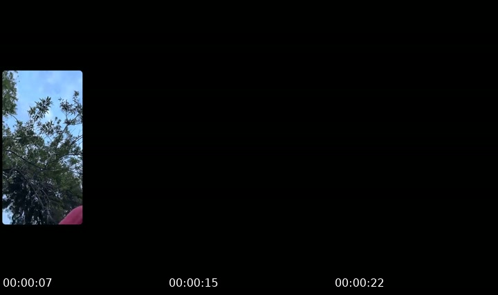 @sarahhhhhh2322 TikTok live from 2026-07-20