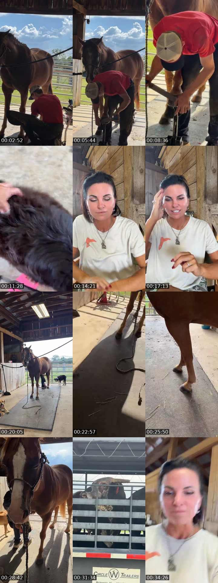 TikTok live: Horse Pedi Time by @stephonthemorningride