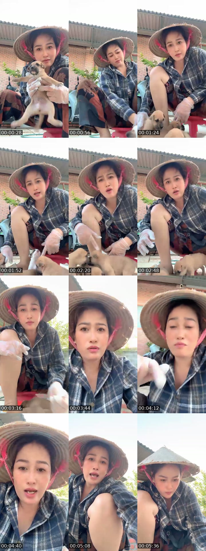 @thanhnguyet789 TikTok live from 2026-07-20