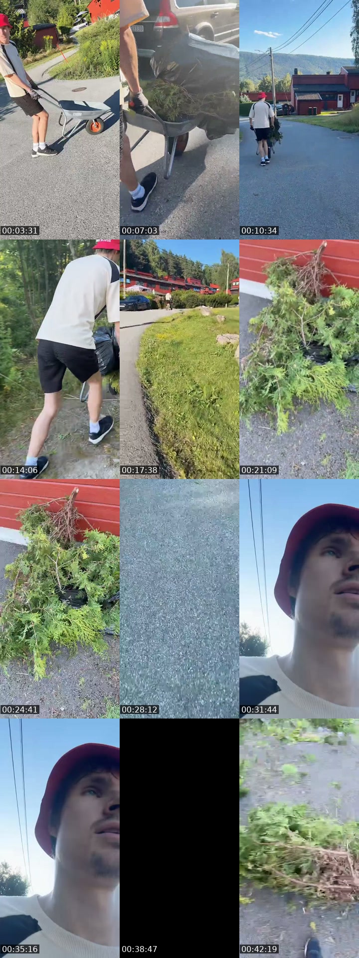 TikTok live: Jossi hjelper til i hagen ! by @josteinsorum