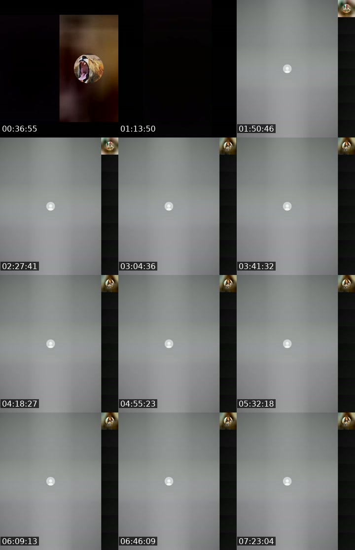 @karupaoikr7 TikTok live from 2026-07-20