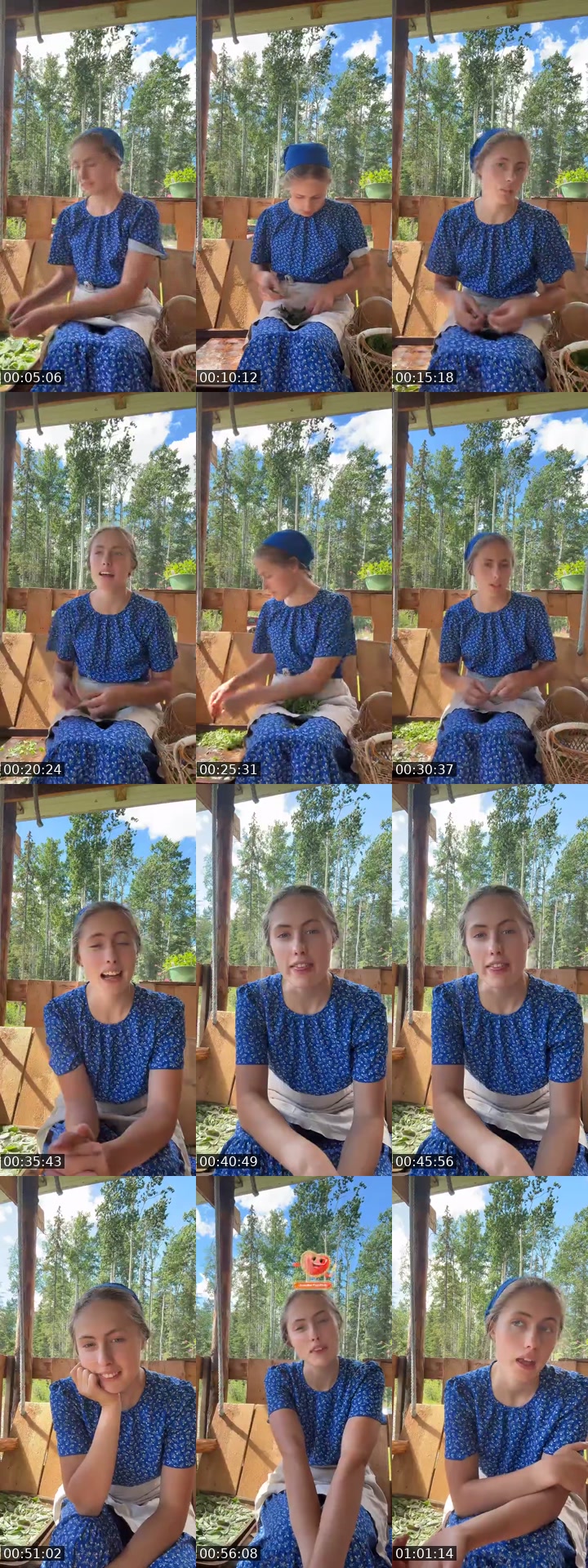 TikTok live: Pickin mint by @elisematson