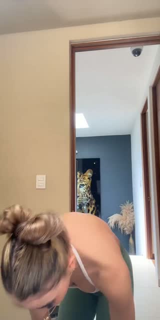 @aleebebeee TikTok live from 2026-07-21