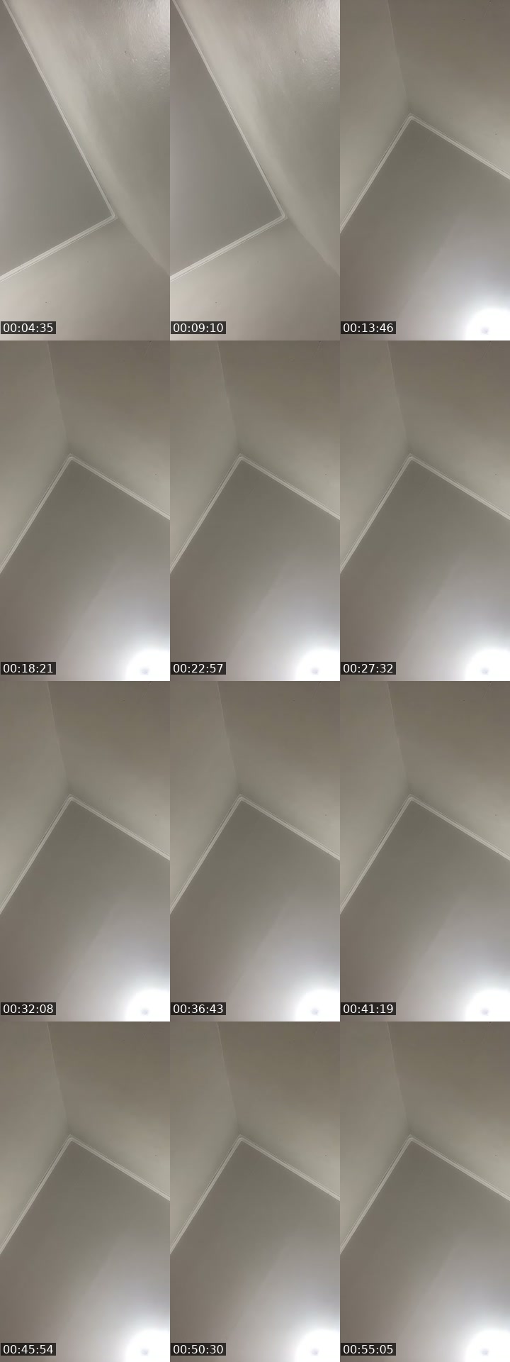 @elisandra218 TikTok live from 2026-07-21