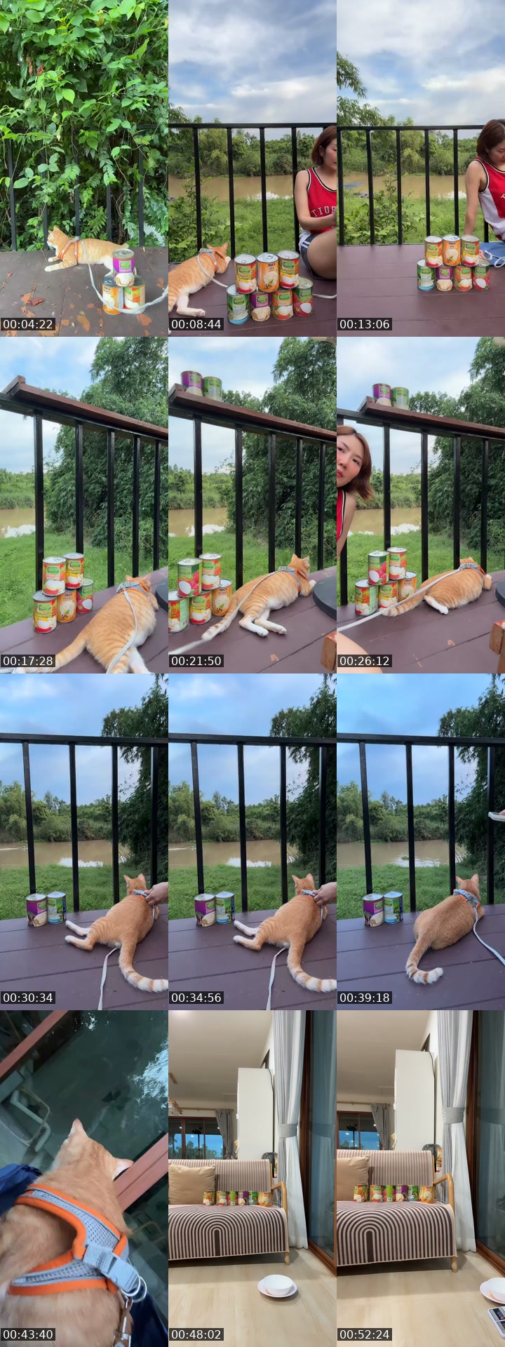 TikTok live: ออกกำลังกายตอนเย็นกับสิชล by @tuazorfamily