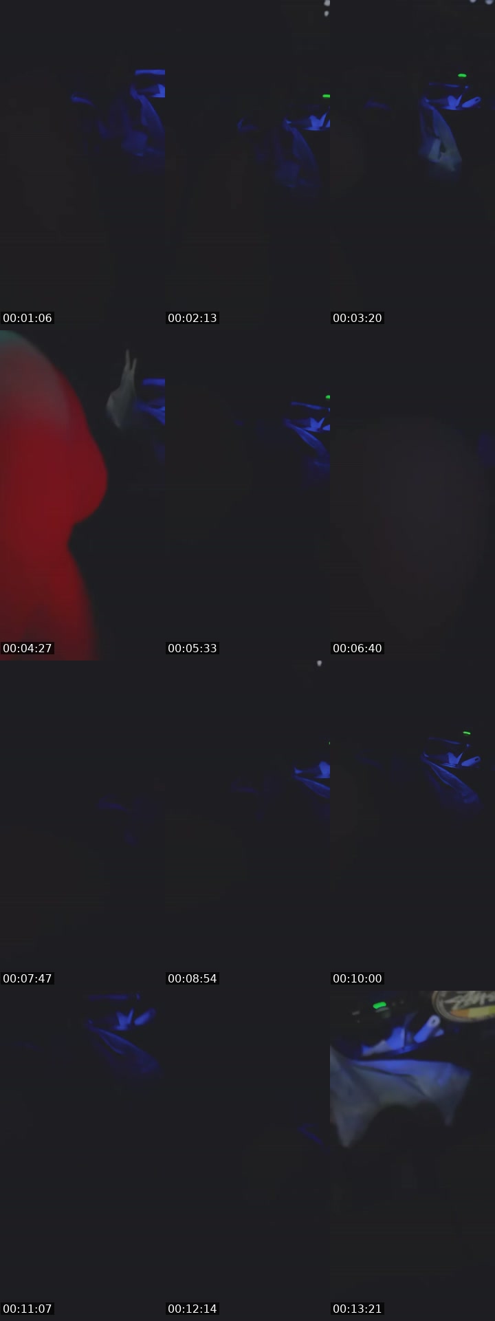 @bo_oo04 TikTok live from 2026-07-21