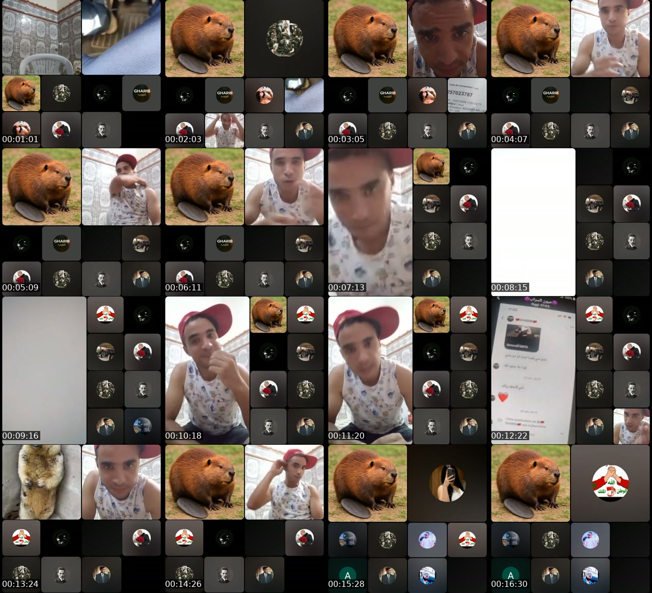 @lmakhfi367 TikTok live from 2026-07-23