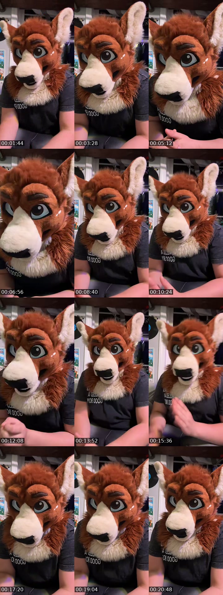 TikTok live: I’m a nerd, ask about coasters 🎢 by @syrupyhoofjob