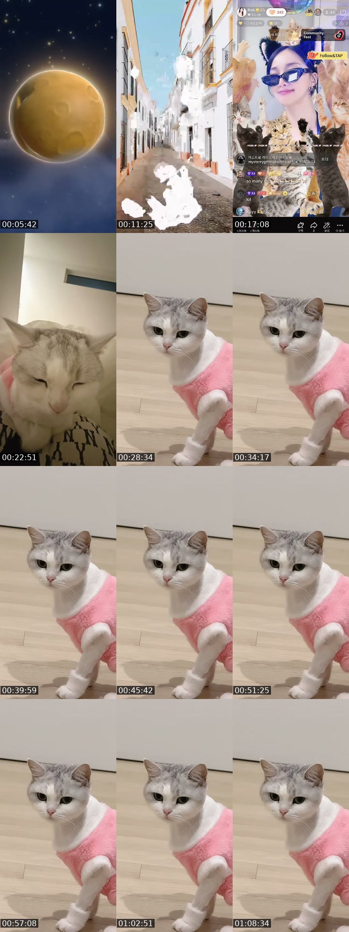 @sae.rok TikTok live from 2026-07-24