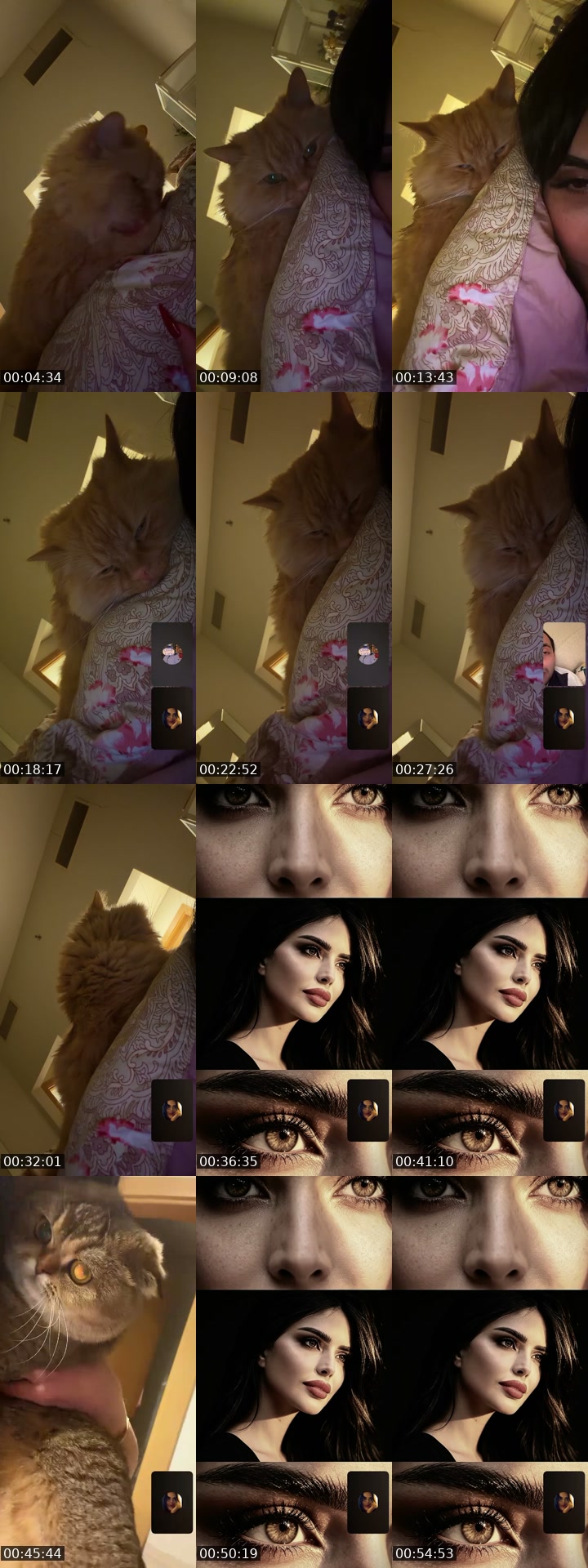 @the.shaimaa TikTok live from 2026-07-24