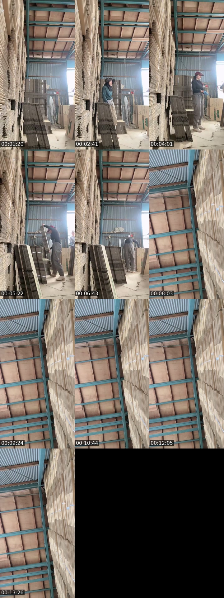 TikTok live: แปปนึง by @butter_20__03