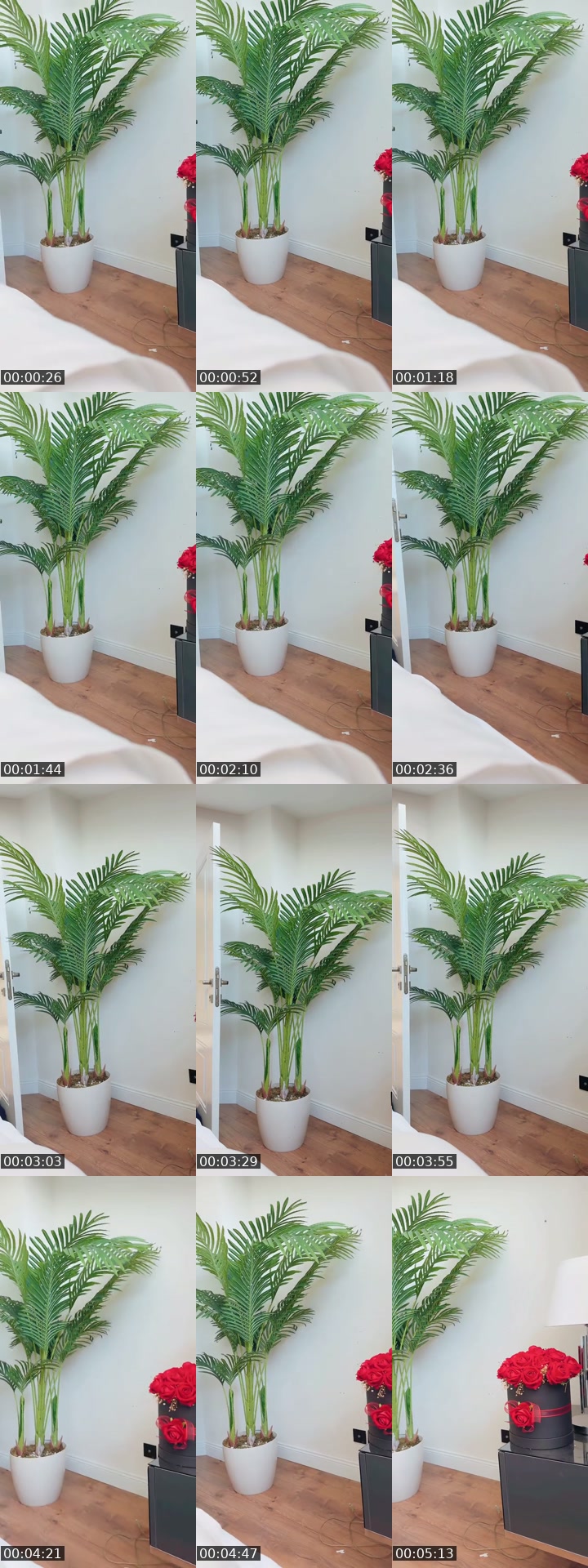 @dilanoztur2 TikTok live from 2026-07-01