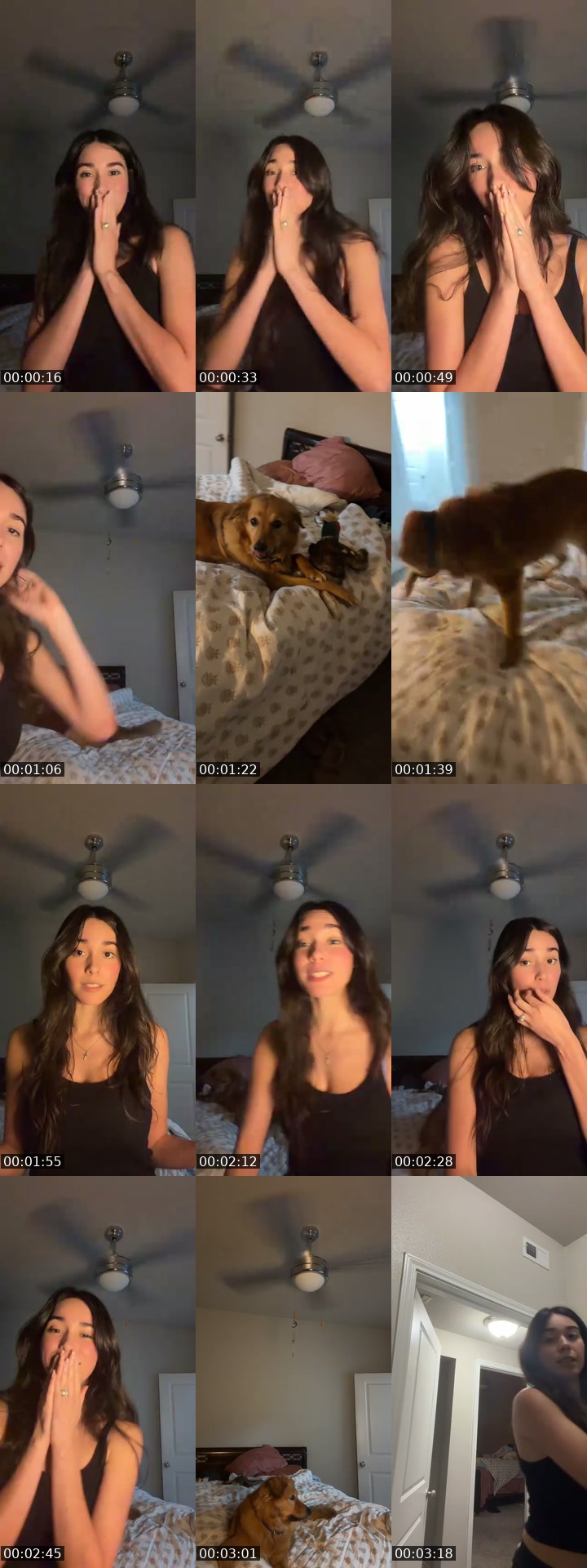 TikTok live: Stop comparing me to john wick by @amelianotmeli