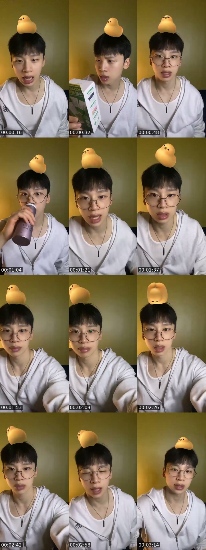 South Korea TikTok live: 🦖just chill🐶 by @johnfkr11