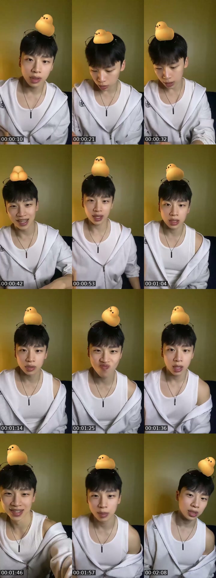 South Korea TikTok live: 🦖just chill🐶 by @johnfkr11