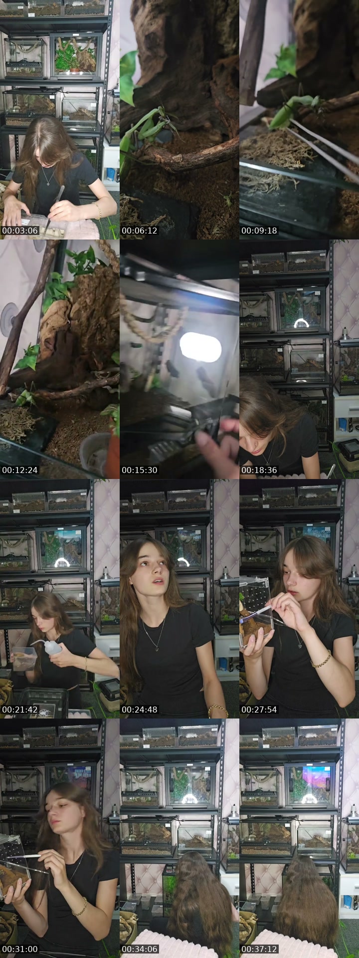 United States TikTok live: WARNING EXOTIC PETS-(I'm 19) by @skys.animal.zoo