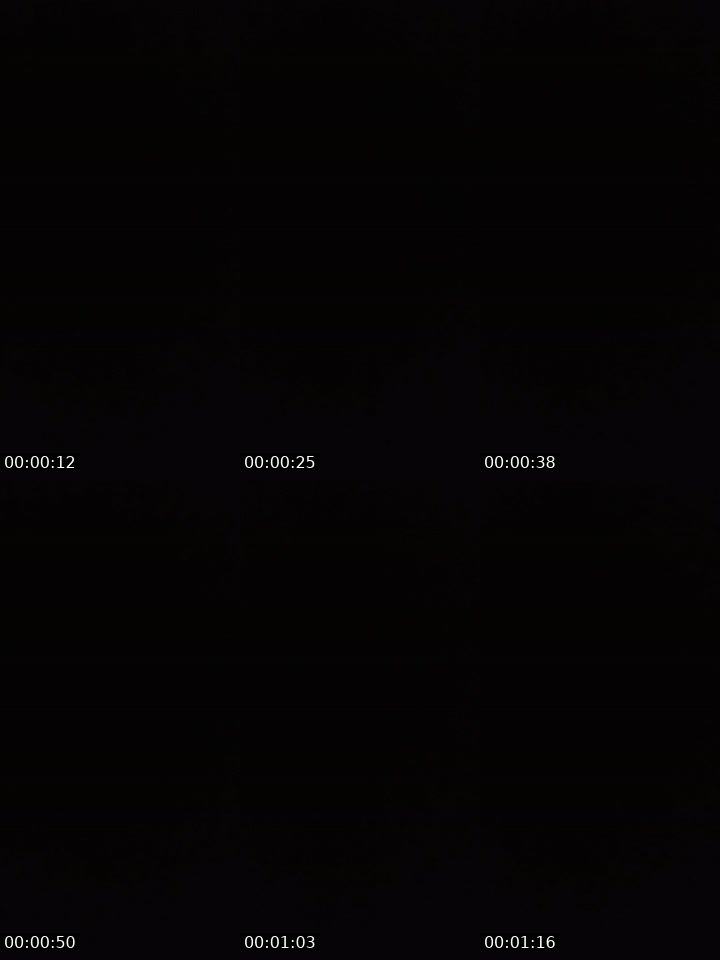 @bycolo.xo19 Mexico TikTok live from 2026-07-01