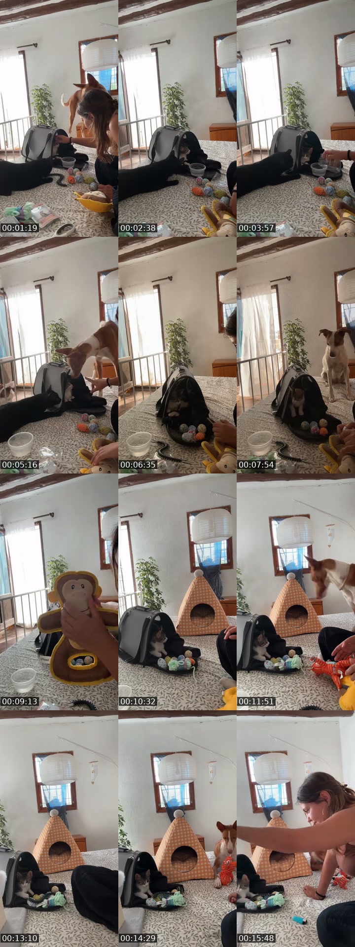 @username10080090 TikTok live from 2026-07-02