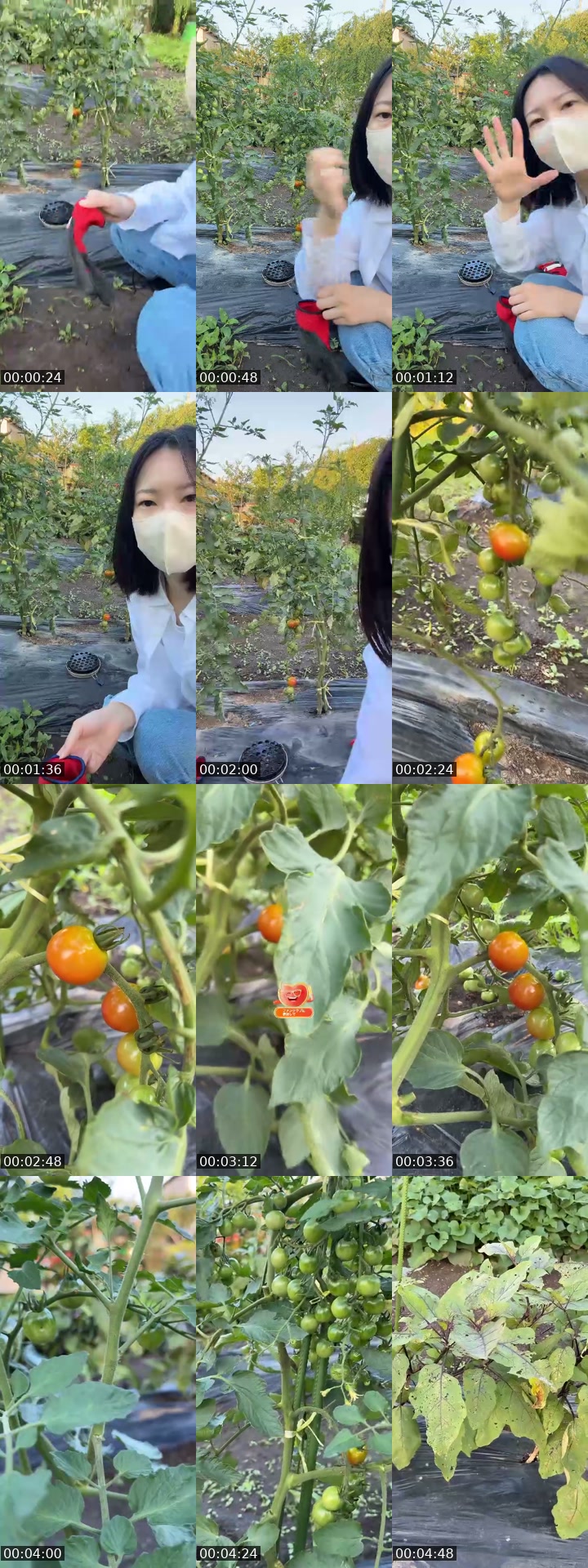 TikTok live: 少しだけ🌱 by @iamakaneko