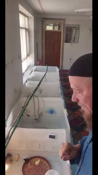 @jeanlouislesoumis TikTok live from 2026-07-02
