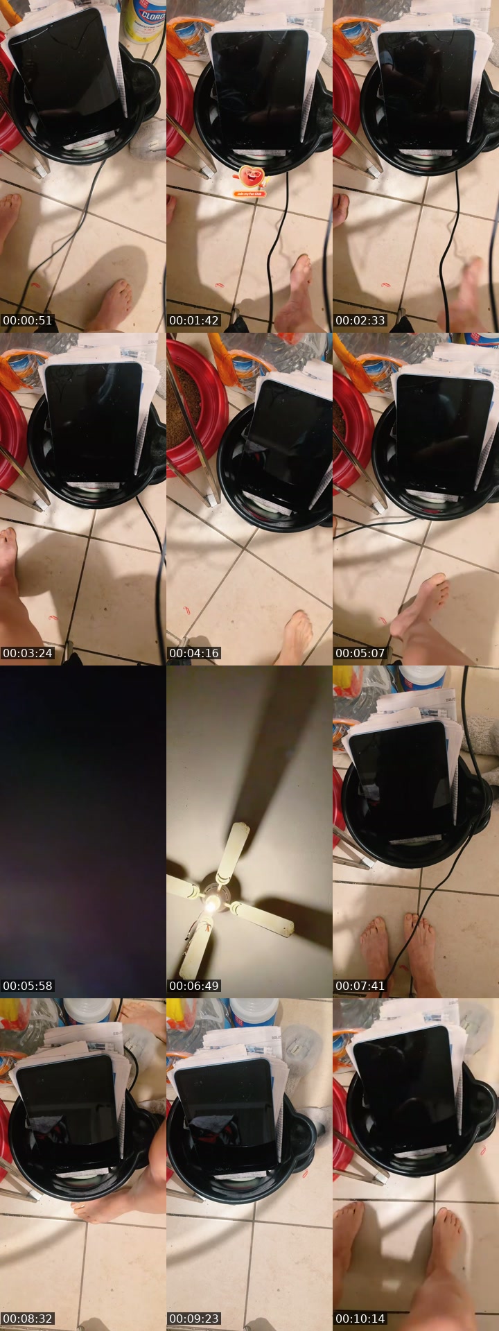@taramania12 TikTok live from 2026-07-03