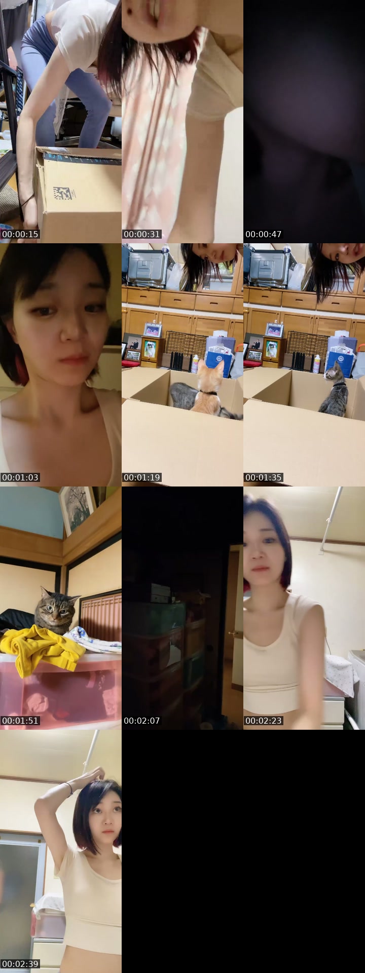 TikTok live: 0703おつかれさま by @nyanchanuniverse