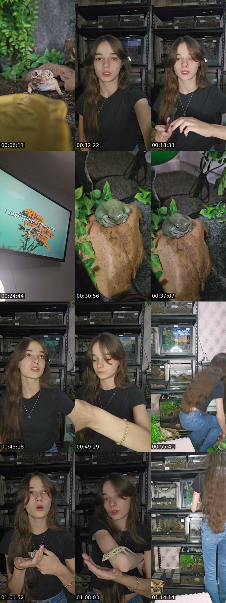 United States TikTok live: WARNING EXOTIC PETS-(I'm 19) by @skys.animal.zoo