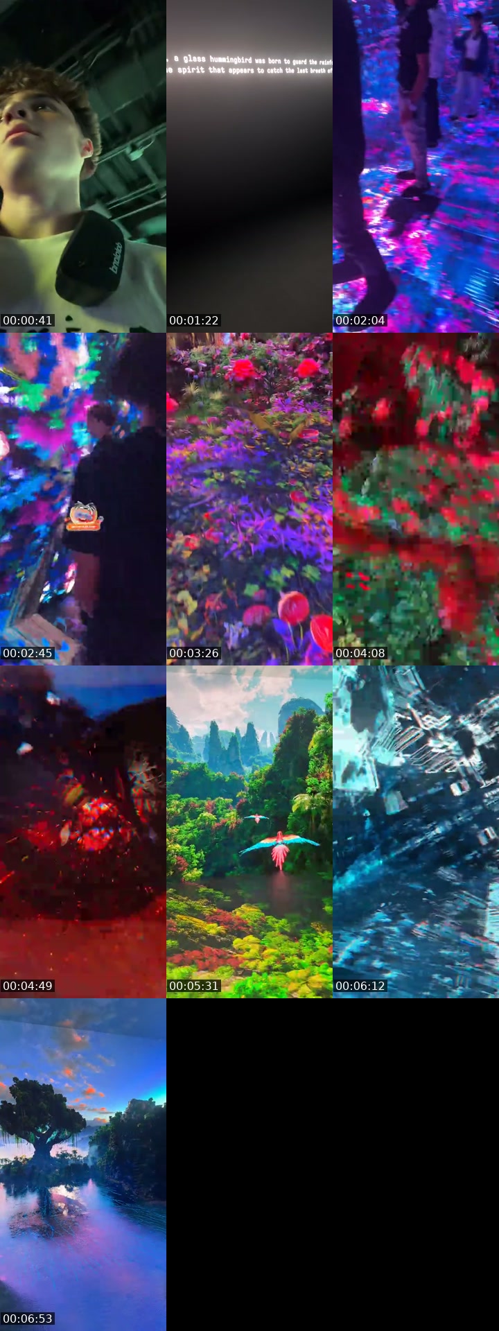 TikTok live: dataland by @kai2niche
