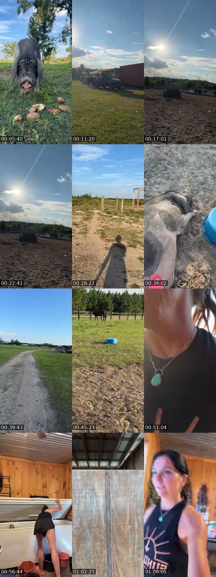 TikTok live: Sundown Cattle Co by @stephonthemorningride