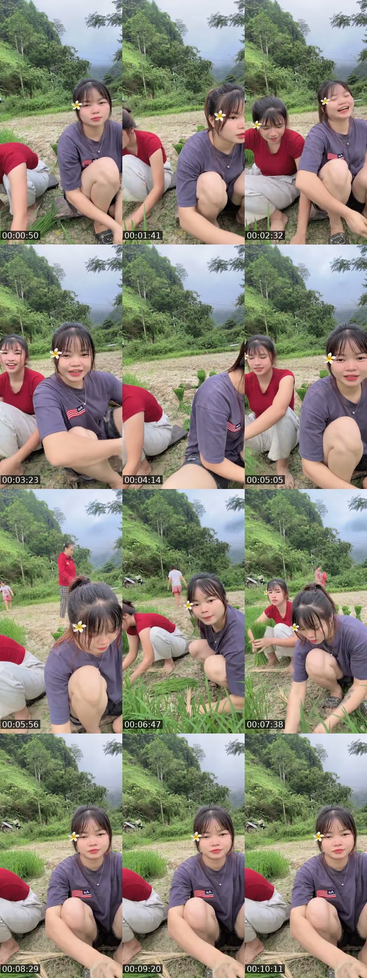 TikTok live: Hello by @emy271158