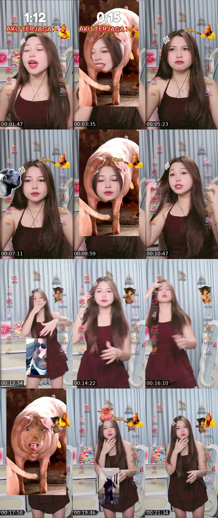 TikTok live: Lets Go LIVE! by @ocha.98