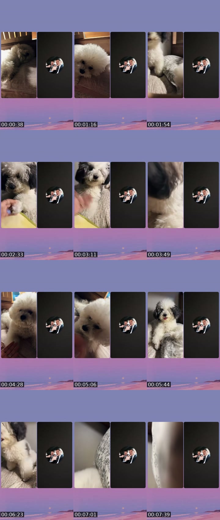 @user9607516127815 South Korea TikTok live from 2026-07-03