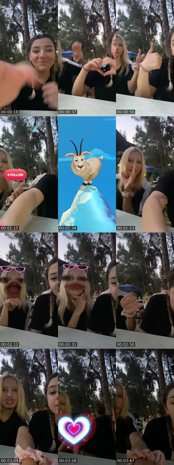 TikTok live: golden sisters by @ayybuke_